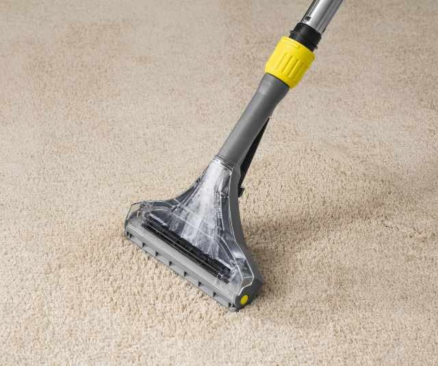 Puzzi 10/2 carpet extractor closeup