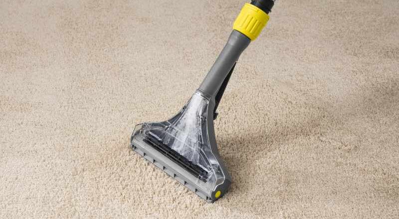 Puzzi 10/2 carpet extractor closeup